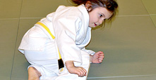 Jiu-Jitsu Kampfsport