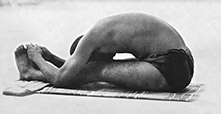 Sivananda Yoga