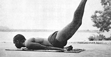 Sivananda Yoga