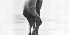 Sivananda Yoga